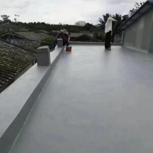 Comprehensive Waterproofing Solution